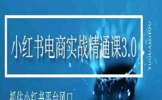 小红书电商实战精通课3.0，抓住小红书平台的风口，不错过有一个赚钱的机会