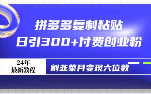 拼多多复制粘贴日引300+付费创业粉,割韭菜月变现六位数最新教程!