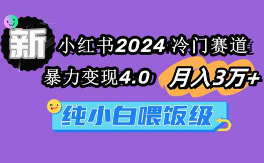 小红书2024冷门赛道 月入3万+ 暴力变现4.0 纯小白喂饭级