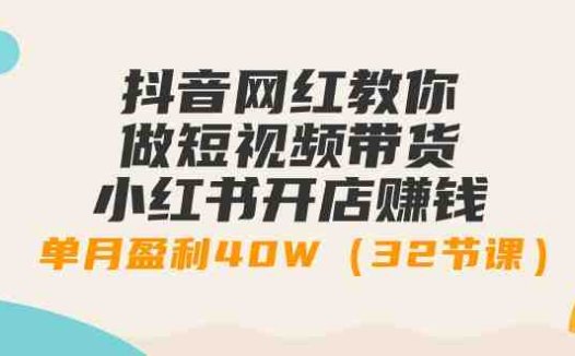 抖音网红教你做短视频带货+小红书开店赚钱，单月盈利40W（32节课）