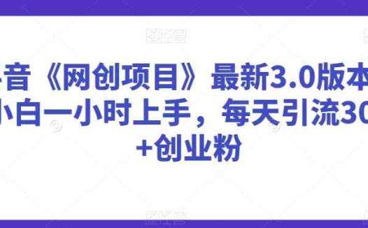 抖音《网创项目》最新3.0版本，小白一小时上手，每天引流300+创业粉