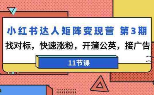 小红书达人矩阵变现营第3期，找对标，快速涨粉，开蒲公英，接广告（11节课）