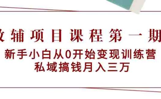 教辅项目课程第一期：新手小白从0开始变现训练营  私域搞钱月入三万
