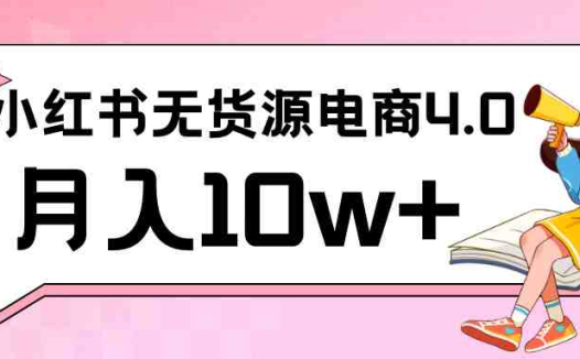 小红书新电商实战 无货源实操从0到1月入10w+ 联合抖音放大收益