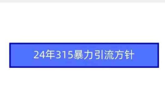 24年315暴力引流方针