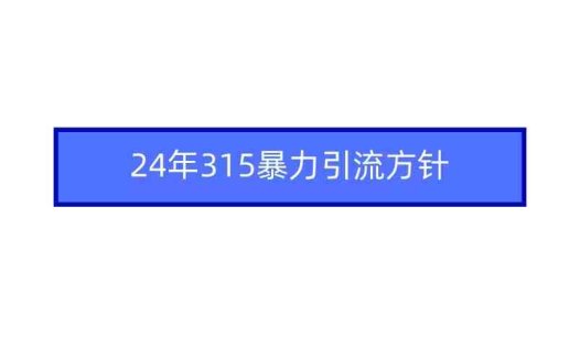 2024年315暴力引流方针