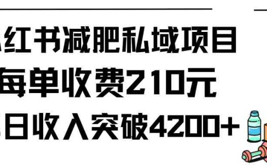 小红书减肥私域项目每单收费210元单日成交20单，最高日入4200+