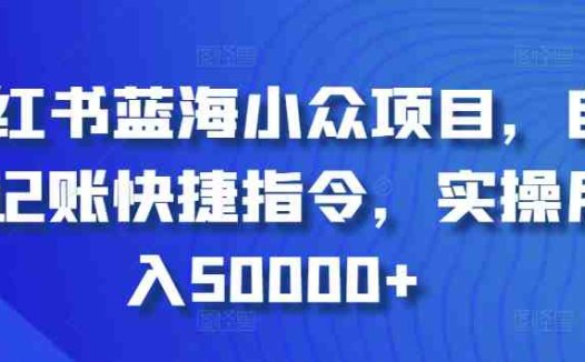 小红书蓝海小众项目，自动记账快捷指令，实操月入50000+