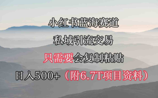 小红书短剧赛道，私域引流交易，会复制粘贴，日入500+（附6.7T短剧资源）