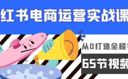 小红书电商运营实战课，​从0打造全程实操（63节视频课）