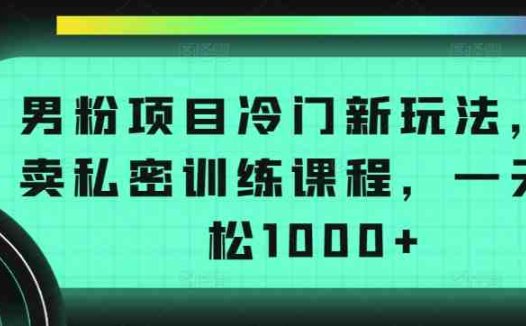 男粉项目冷门新玩法，售卖私密训练课程，一天轻松1000+