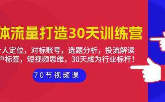 实体流量打造30天训练营:个人定位,对标账号,选题分析,投流解读(70节)