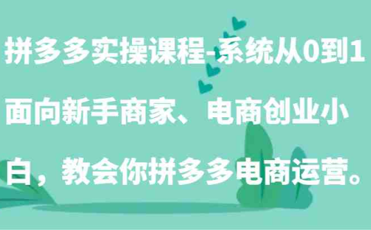 拼多多实操课程-系统从0到1,面向新手商家、电商创业小白,教会你拼多多电商运营。