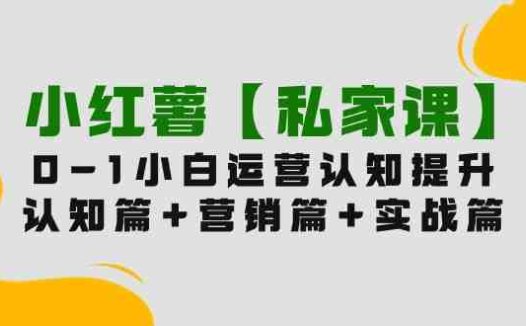 小红薯【私家课】0-1玩赚小红书内容营销，认知篇+营销篇+实战篇（11节课）