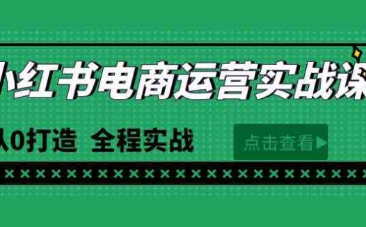 最新小红书·电商运营实战课，从0打造  全程实战（65节视频课）