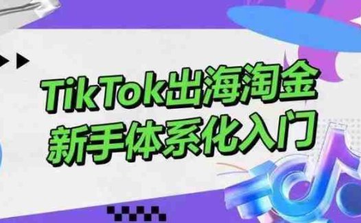 TikTok出海淘金，新手体系化入门，零基础快速入门，掌握短视频、直播带货等引流到变现的知识
