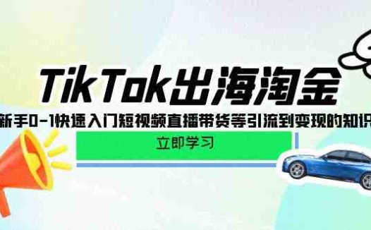 TikTok-出海淘金，新手0-1快速入门短视频直播带货等引流到变现的知识