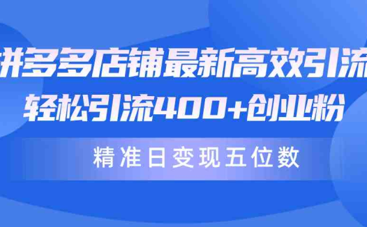 拼多多店铺最新高效引流术，轻松引流400+创业粉，精准日变现五位数！