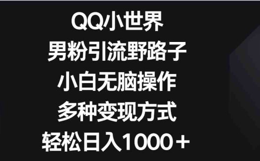 QQ小世界男粉引流野路子，小白无脑操作，多种变现方式轻松日入1000＋