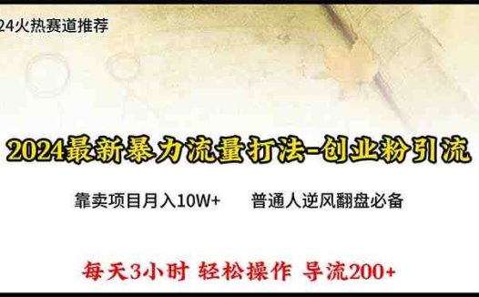 2024年最新暴力流量打法，每日导入300+，靠卖项目月入10W+