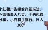 小红薯广告掘金详细玩法，外面收费大几百，小白有手就行，日入300+