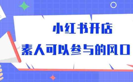 小红书开店，素人可以参与的风口（39节视频课程）