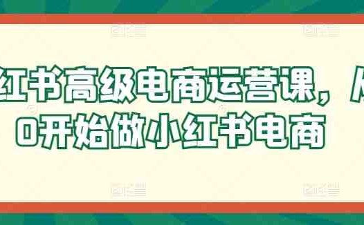 小红书高级电商运营课，从0开始做小红书电商