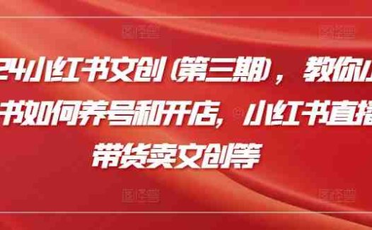 2024小红书文创(第三期)，教你小红书如何养号和开店，小红书直播带货卖文创等