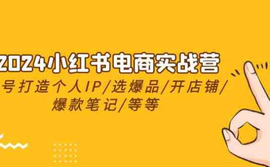 2024小红书电商实战营，养号打造IP/选爆品/开店铺/爆款笔记/等等（24节）