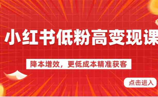 小红书低粉高变现课-降本增效,更低成本精准获客,小红书必爆的流量密码