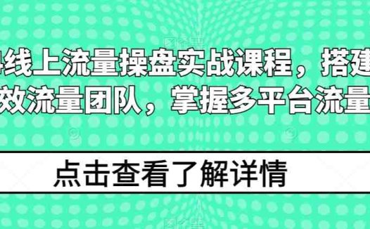 2024线上流量操盘实战课程，搭建高人效流量团队，掌握多平台流量