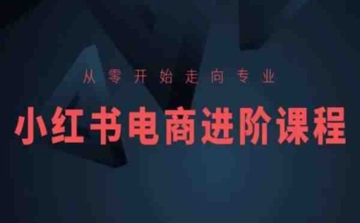 从零开始走向专业,小红书电商进阶课程