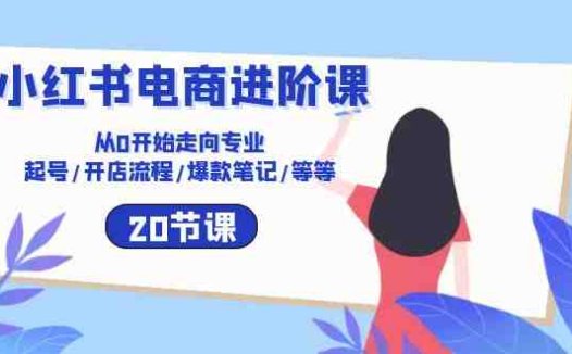 小红书电商进阶课:从0开始走向专业 起号/开店流程/爆款笔记/等等(20节)