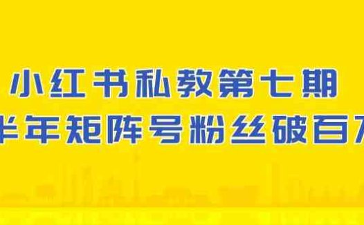 小红书私教第七期,小红书90天涨粉18w,1周涨粉破万 半年矩阵号粉丝破百万