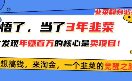 悟了，当了3年韭菜，才发现网赚圈年赚100万的核心是卖项目，含泪分享！