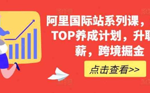 阿里国际站系列课，运营TOP养成计划，升职加薪，跨境掘金