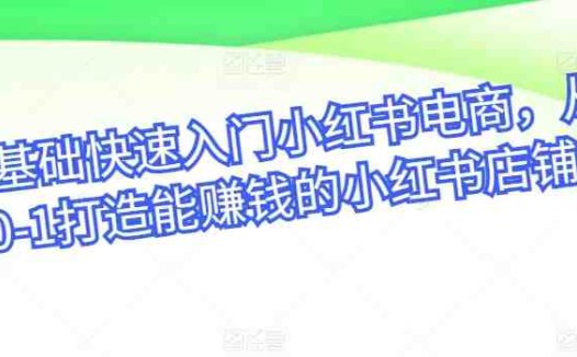 零基础快速入门小红书电商，从0-1打造能赚钱的小红书店铺