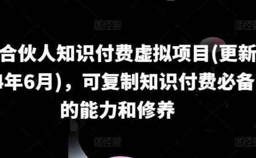 IP合伙人知识付费虚拟项目(更新24年6月),可复制知识付费必备的能力和修养