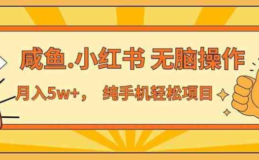 2024最赚钱的项目，咸鱼，小红书无脑操作，每单利润500+，轻松月入5万+…