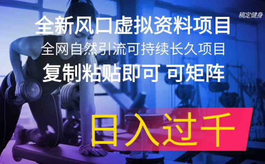 全新风口虚拟资料项目 全网自然引流可持续长久项目 复制粘贴即可可矩阵…