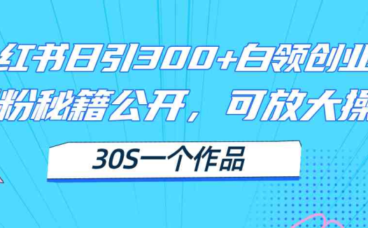 小红书日引300+高质白领创业粉，可放大操作，爆粉秘籍！30s一个作品