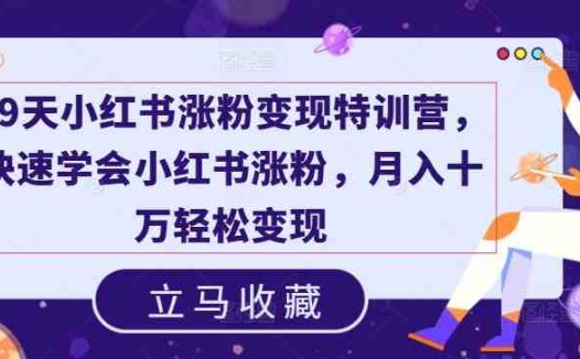 19天小红书涨粉变现特训营，快速学会小红书涨粉，月入十万轻松变现