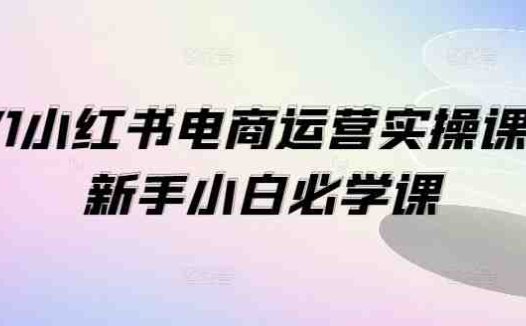 1V1小红书电商运营实操课，新手小白必学课