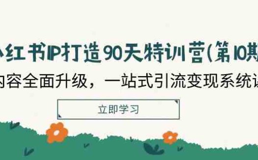 小红书IP打造90天特训营(第10期)：内容全面升级，一站式引流变现系统课