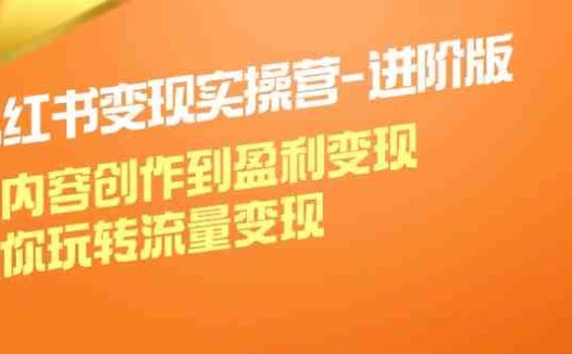 小红书变现实操营-进阶版：从内容创作到盈利变现，带你玩转流量变现