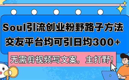 Soul引流创业粉野路子方法，交友平台均可引日均300+，无需剪视频写文案…