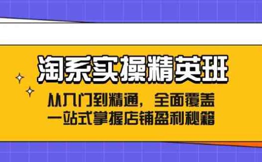 淘系实操精英班:从入门到精通,全面覆盖,一站式掌握店铺盈利秘籍