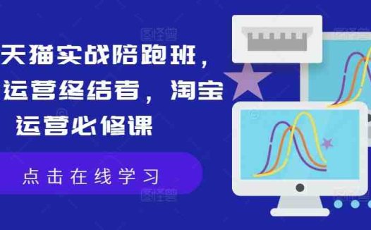 淘宝天猫实战陪跑班,店铺运营终结者,淘宝运营必修课