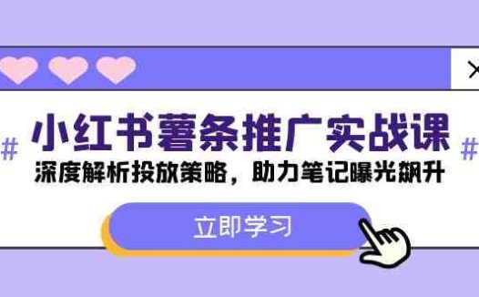 小红书-薯 条 推 广 实战课：深度解析投放策略，助力笔记曝光飙升