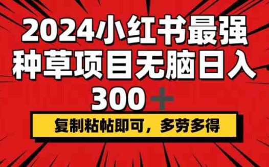 2024小红书最强种草项目，无脑日入300+，复制粘帖即可，多劳多得